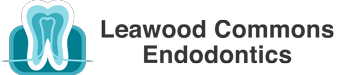 Leawood Commons Endodontics Logo